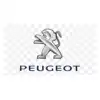 Peugeot - Vezérlésrögzítők, pozícionálók