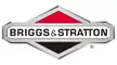 BRIGGS