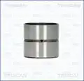Hidrotőke - Triscan
