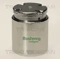 Féknyereg dugattyú - Triscan