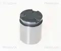 Féknyereg dugattyú - Triscan