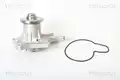 Vízpumpa - Triscan