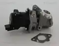 Egr Szelep - Triscan