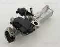 Egr Szelep - Triscan