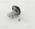 Egr Szelep - Triscan