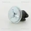 Egr Szelep - Triscan