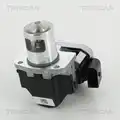 Egr Szelep - Triscan