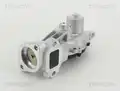 Egr Szelep - Triscan