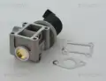 Egr Szelep - Triscan