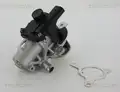 Egr Szelep - Triscan