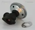 EGR szelep - Triscan
