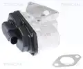 Egr Szelep - Triscan
