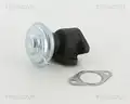 Egr Szelep - Triscan
