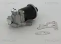 Egr Szelep - Triscan