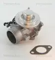 Egr Szelep - Triscan