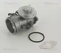Egr Szelep - Triscan