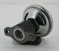 Egr Szelep - Triscan