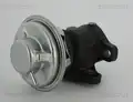 Egr Szelep - Triscan