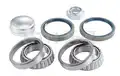 Kerékcsapágy készlet - SNR
