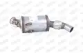 DPF - Walker