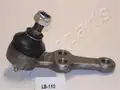 Gömbfej, Alsó - Japanparts