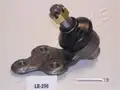 Gömbfej, Alsó - Japanparts