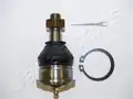 Gömbfej, Alsó - Japanparts
