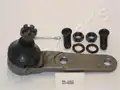 Gömbfej, Felső - Japanparts