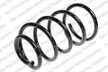 Futomu rugo - Kilen