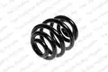 Futomu rugo - Kilen