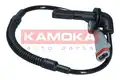Abs Jeladó - Kamoka