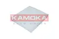 Pollenszűrő - Kamoka