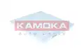 Pollenszűrő - Kamoka