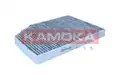 Pollenszűrő - Kamoka
