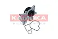 Vízpumpa - Kamoka