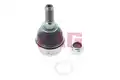 Támasztó-/Vezetőcsukló - FAG