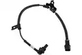 Érzékelő, Kerékfordulatszám - Kavo Parts