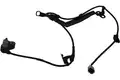 Érzékelő, Kerékfordulatszám - Kavo Parts