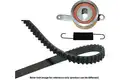 Vezérműszíj Készlet - Kavo Parts