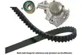 Vízszivattyú + bordásszíj készlet - Kavo Parts