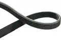 Hosszbordás Szíj - Kavo Parts