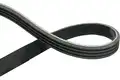 Hosszbordás Szíj - Kavo Parts