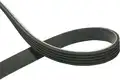 Hosszbordásszíj - Kavo Parts