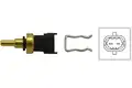 Érzékelő, Hűtőfolydék Hőmérséklet - Kavo Parts
