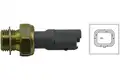 Olajnyomás Kapcsoló - Kavo Parts