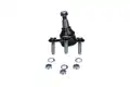 Gömbfej - Kavo Parts