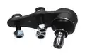 Trapézgömbfej - Kavo Parts
