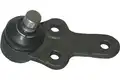 Támasztó-/Vezetőcsukló - Kavo Parts