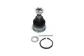 Támasztó-/Vezetőcsukló - Kavo Parts