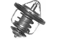 Termosztát, Hűtőfolyadék - Kavo Parts